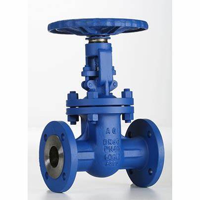 供應(yīng)意大利Valvosider閥門、過濾器